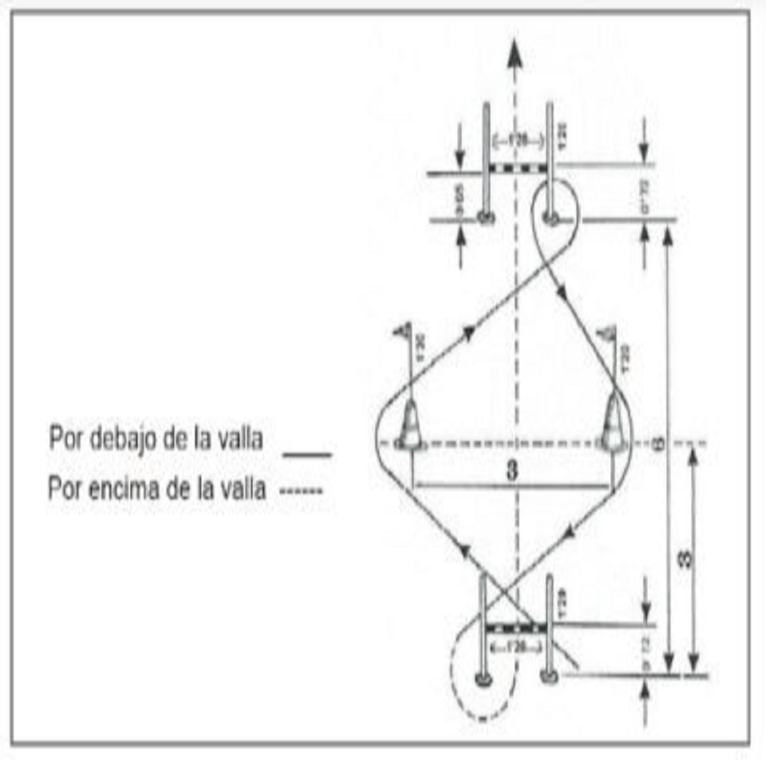 Academia Centro en Alicante, formación para oposiciones de Policía Nacional y Guardia Civil, acceso físico y temario para preparación
